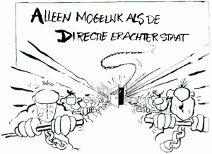 directieverantwoordelijkheid