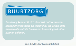 organisatie-zelfbestuur-buurtzorg-2