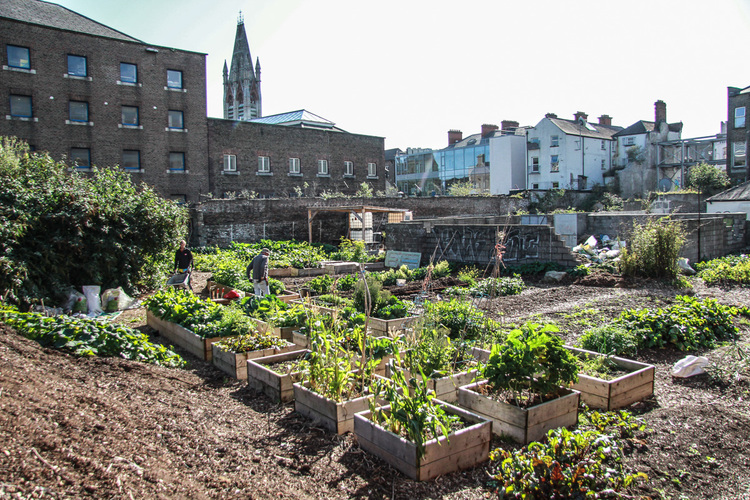 thelocals_ourfarm-12-2