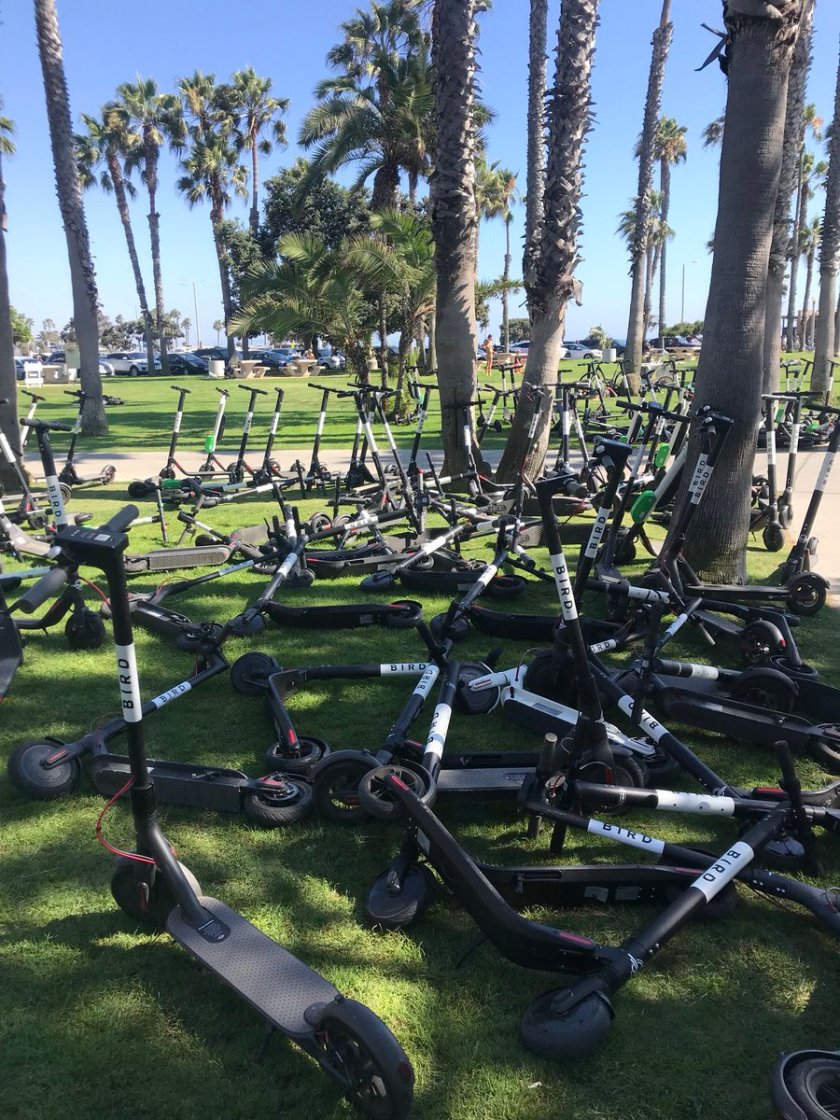 Electric scooters invaded Santa Monica CA at August 7, 2018 - Photo Madeline Esking on Twitter