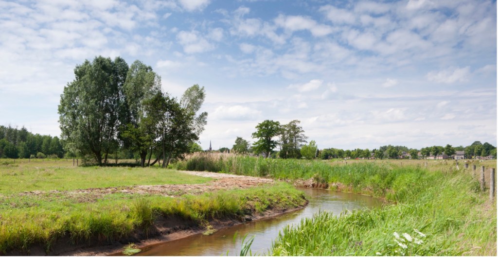 Het is een misvatting om 'landelijk gebied' gelijk te stellen aan natuur. Terugbrengen van de natuur in landelijk gebied zal nog heel wat werk kosten.